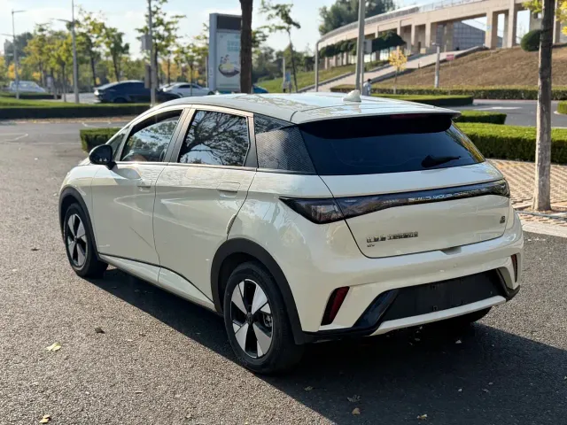 BYD Dolphin — Фото автомобиля 5