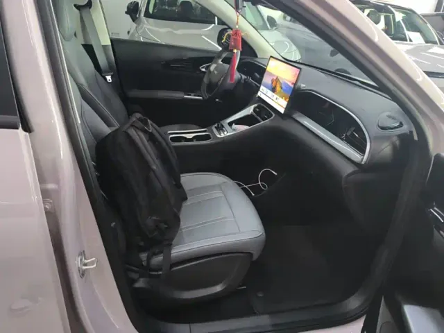Geely Starry Wish — Фото автомобиля 24