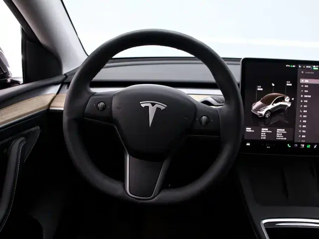 Tesla Model Y — Фото автомобиля 7