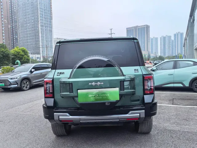 BYD FangChengBao Leopard 8 — Фото автомобиля 9