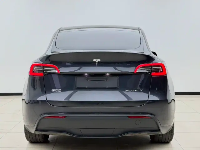 Tesla Model Y — Фото автомобиля 8