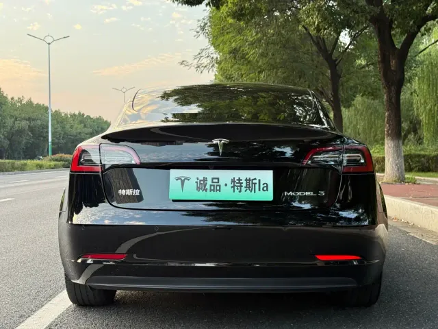 Tesla Model 3 — Фото автомобиля 4