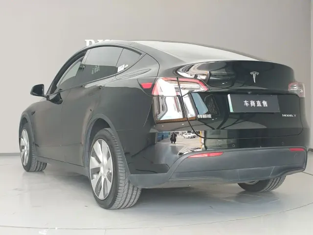 Tesla Model Y — Фото автомобиля 9
