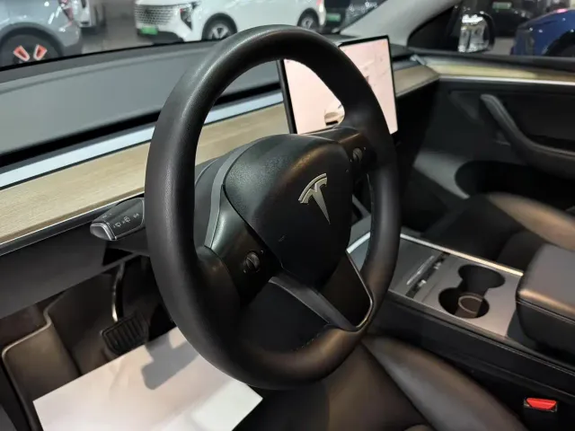 Tesla Model Y — Фото автомобиля 7