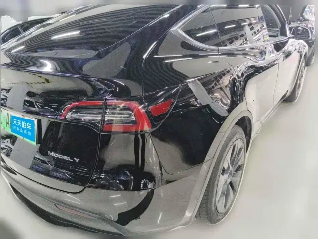 Tesla Model Y — Фото автомобиля 2