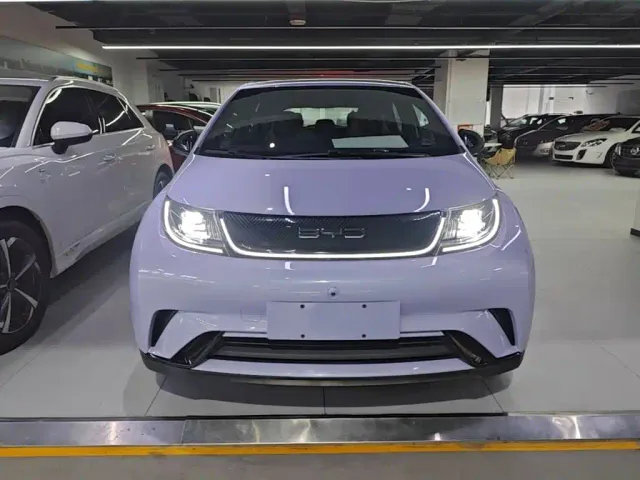 BYD Dolphin — Фото автомобиля 2