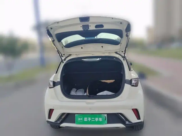 BYD Dolphin — Фото автомобиля 15