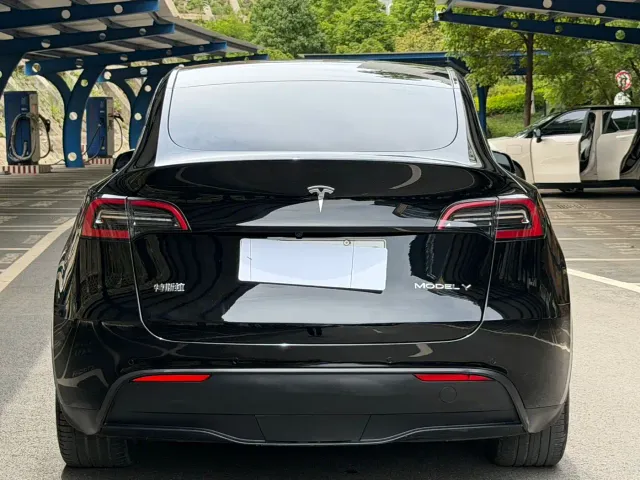 Tesla Model Y — Фото автомобиля 10