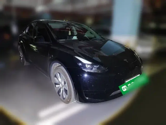 Tesla Model Y — Фото автомобиля 24