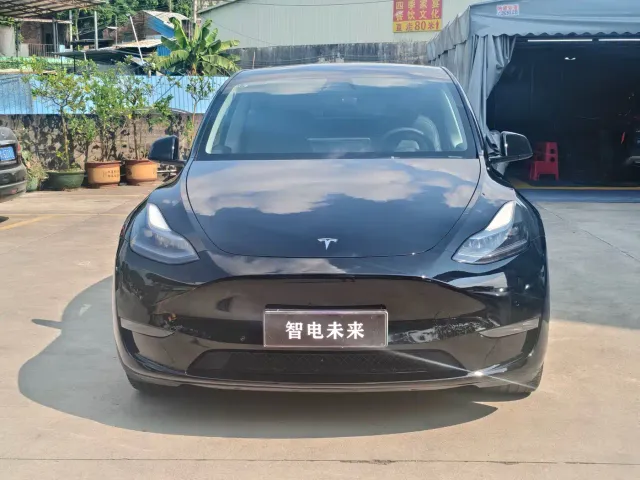 Tesla Model Y — Фото автомобиля 2