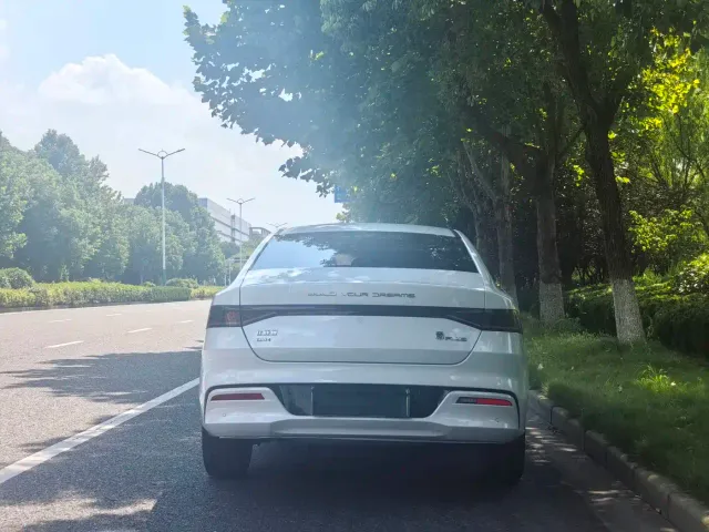 BYD Qin PLUS — Фото автомобиля 10