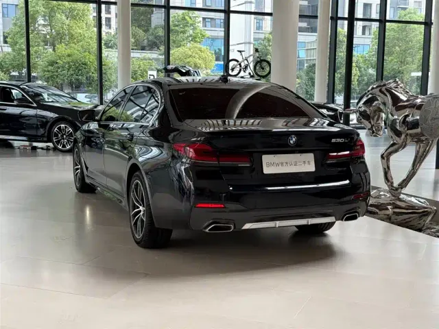 BMW 5 Series — Фото автомобиля 9