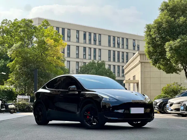 Tesla Model Y — Фото автомобиля 3