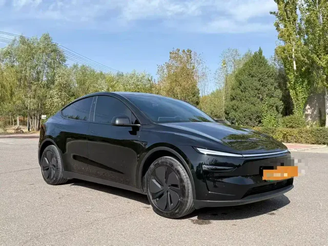 Tesla Model Y — Фото автомобиля 2