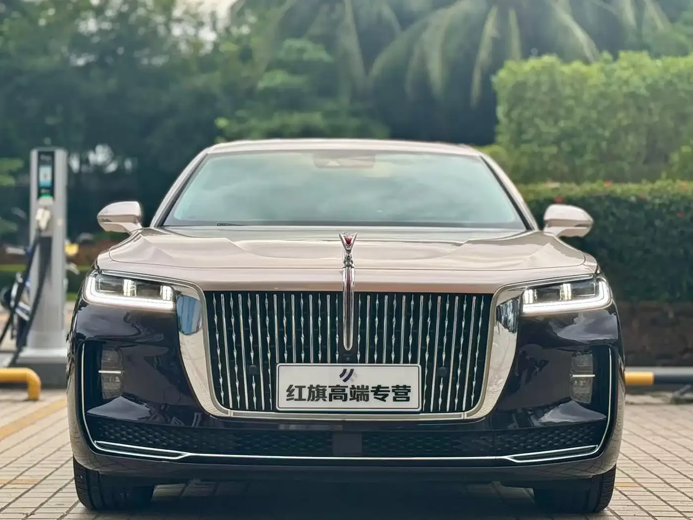 Hongqi Hongqi H9 2020 Facelift 2.0T Smart Connect Flagship — Фото автомобиля 2