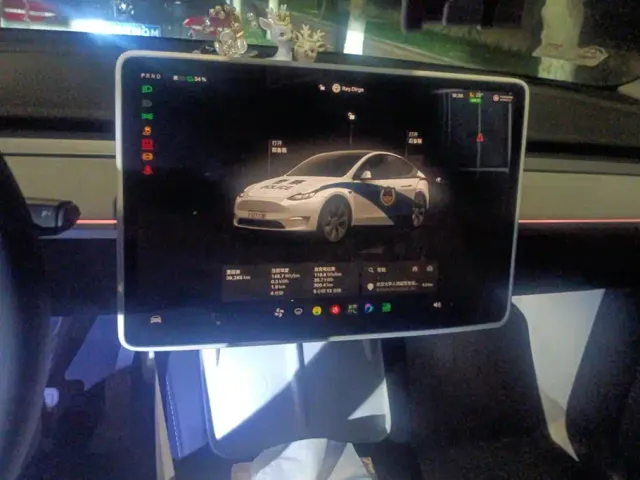 Tesla Model Y — Фото автомобиля 13
