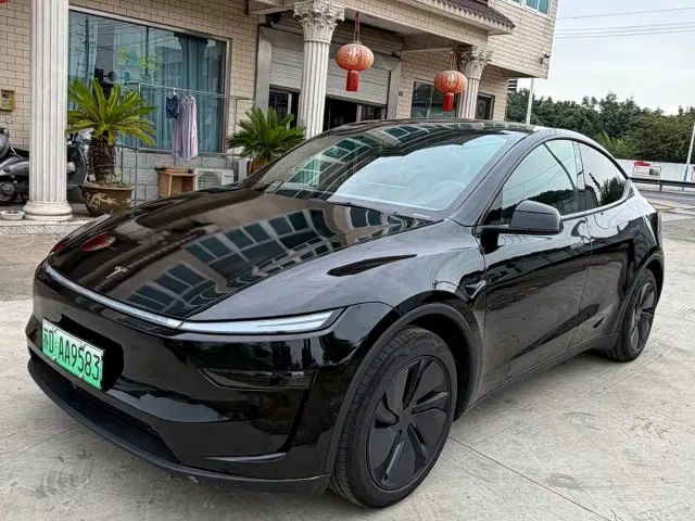 Tesla Model Y — Фото автомобиля 2
