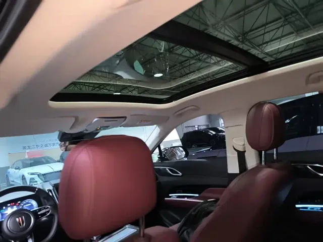 Hongqi Hongqi HS3 PHEV 2025 125km Jingwei PLUS 2 Million Commemorative Edition — Фото автомобиля 17