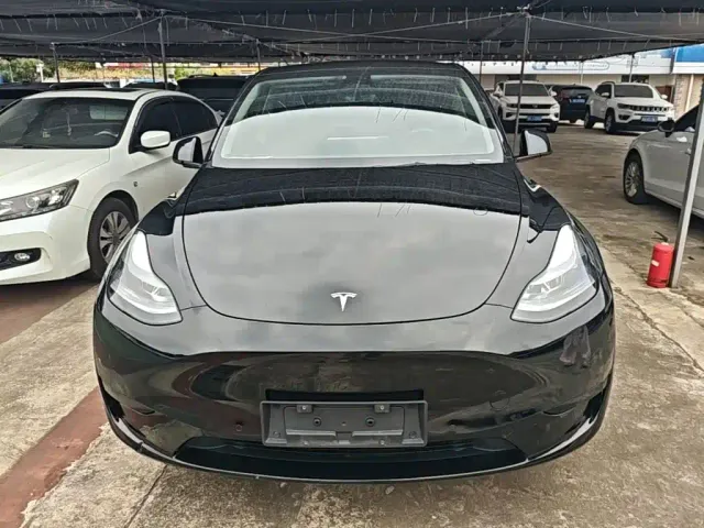 Tesla Model Y — Фото автомобиля 2
