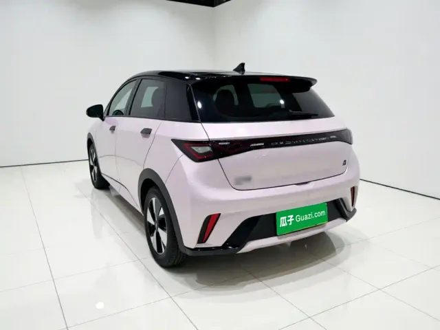 BYD Dolphin — Фото автомобиля 4