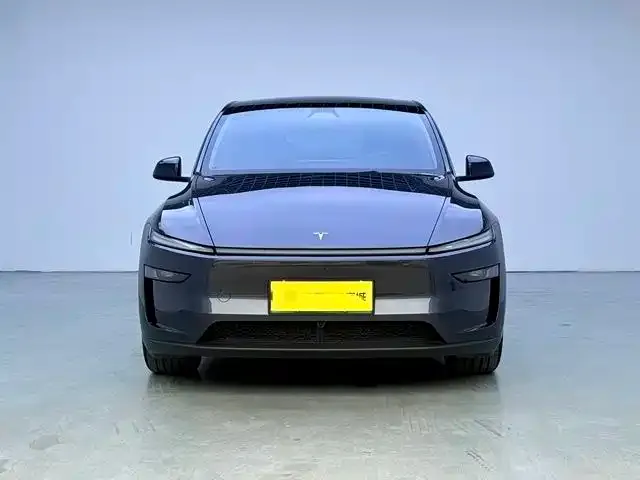 Tesla Model Y — Фото автомобиля 2