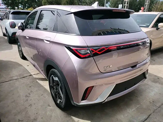 BYD Dolphin — Фото автомобиля 4