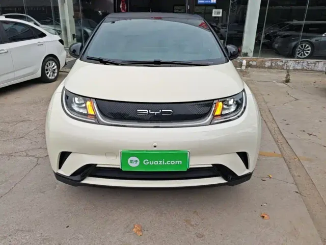 BYD Dolphin — Фото автомобиля 2