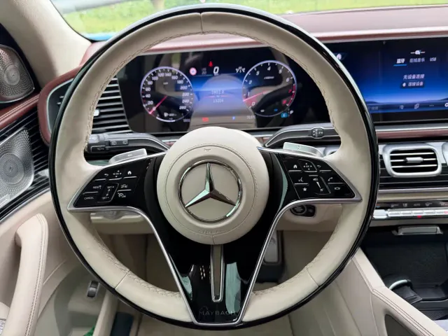 Mercedes-Benz Maybach GLS — Фото автомобиля 11