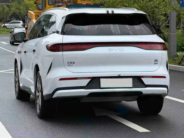 BYD Tang L — Фото автомобиля 5