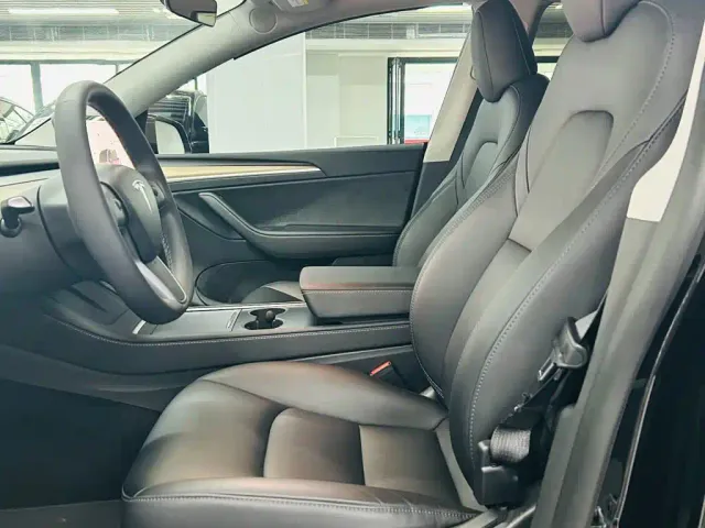 Tesla Model Y — Фото автомобиля 10