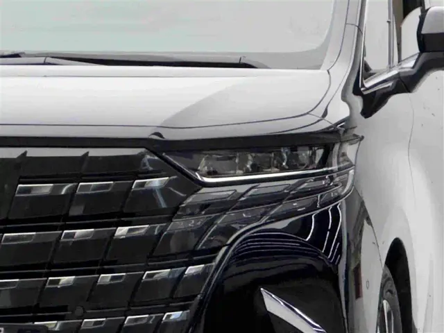 Toyota Alphard — Фото автомобиля 3