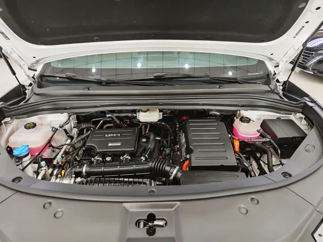 BYD Song L DM-i — Фото автомобиля 14