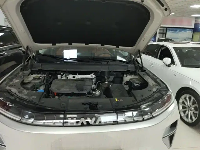 Haval Xiaolong MAX — Фото автомобиля 19