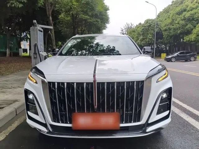 Hongqi Hongqi HS3 2023 1.5T 2WD Virtue Edition — Фото автомобиля 2