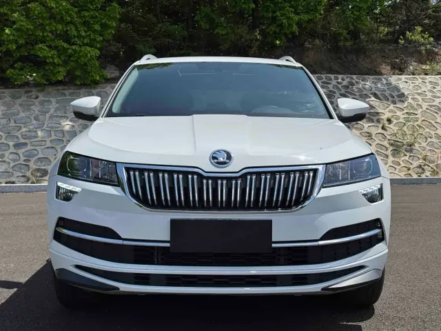 Skoda Karoq — Фото автомобиля 2