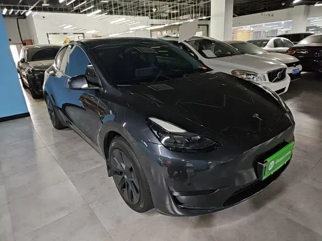 Tesla Model Y — Фото автомобиля 3