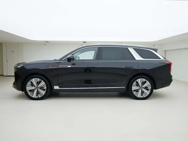 Hongqi E-HS9 — Фото автомобиля 3