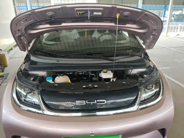BYD Dolphin — Фото автомобиля 19