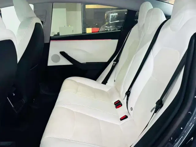 Tesla Model 3 — Фото автомобиля 8