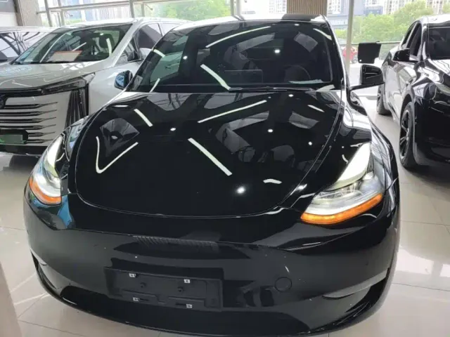 Tesla Model Y — Фото автомобиля 2