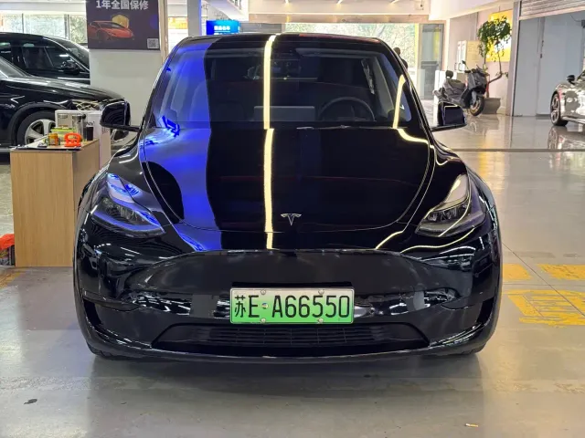 Tesla Model Y — Фото автомобиля 3