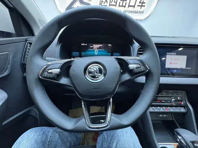 Skoda Karoq — Фото автомобиля 19