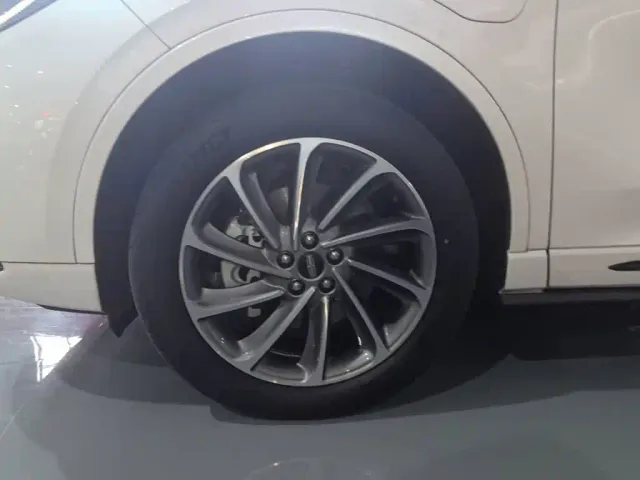 Lincoln Adventurer NEV — Фото автомобиля 22