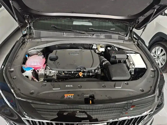 Geely Xingrui — Фото автомобиля 19