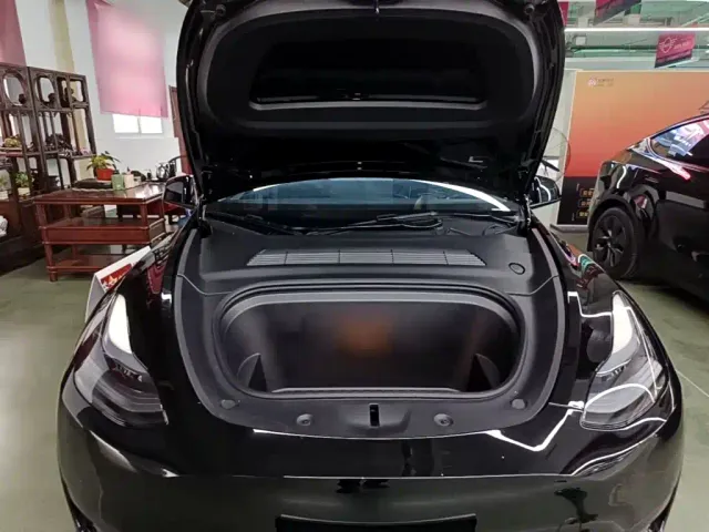 Tesla Model Y — Фото автомобиля 19