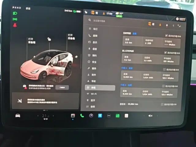 Tesla Model 3 — Фото автомобиля 11