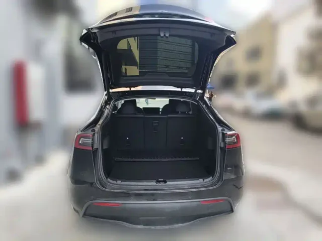 Tesla Model Y — Фото автомобиля 23