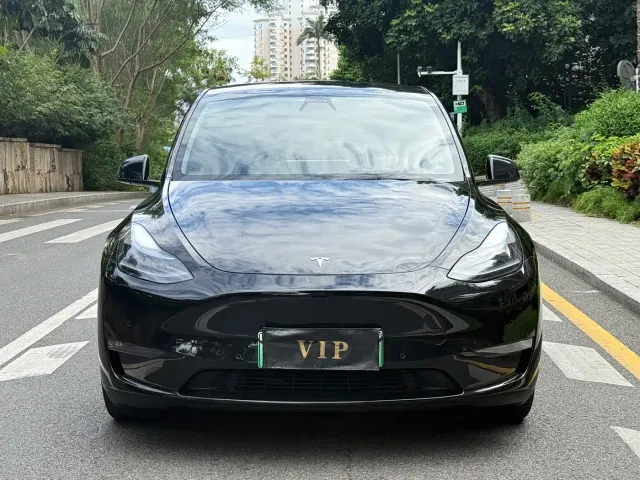 Tesla Model Y — Фото автомобиля 2