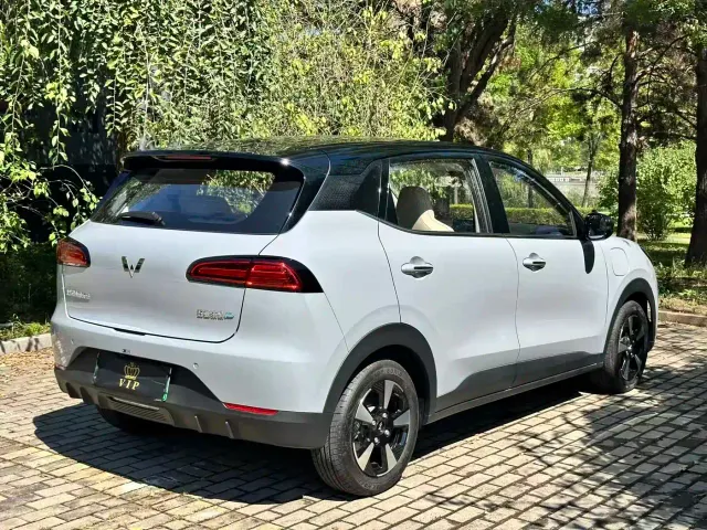 Wuling Binguo PLUS — Фото автомобиля 10