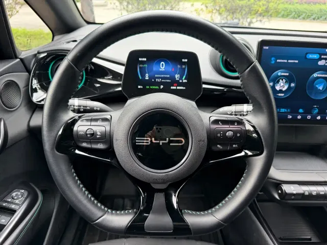 BYD Dolphin — Фото автомобиля 8
